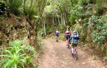 Tour durch den Regenwald der Insel